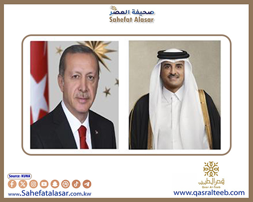 الرئيس التركي: ندين أي هجوم ينتهك سيادة قطر..