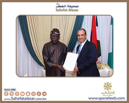 مصر ونيجيريا تؤكدان أهمية تكثيف العمل الافريقي المشترك لمواجهة التحديات الأمنية..