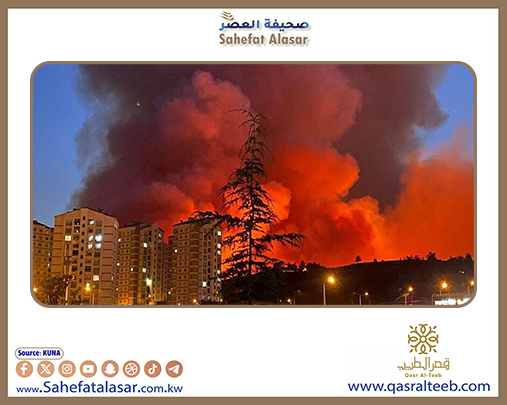 حرائق الغابات تهدد مناطق سكنية في محافظة بورصة التركية..